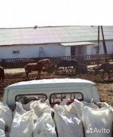 Конский корове навоз в мешках