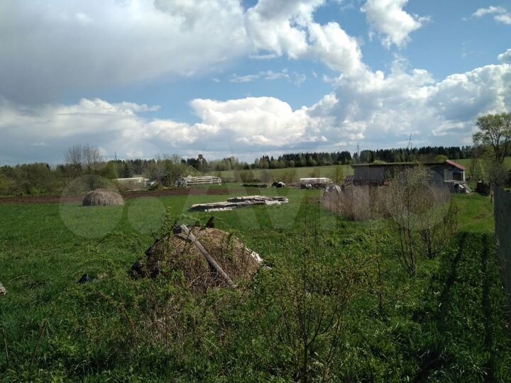 Участок 40 сот. (ИЖС)