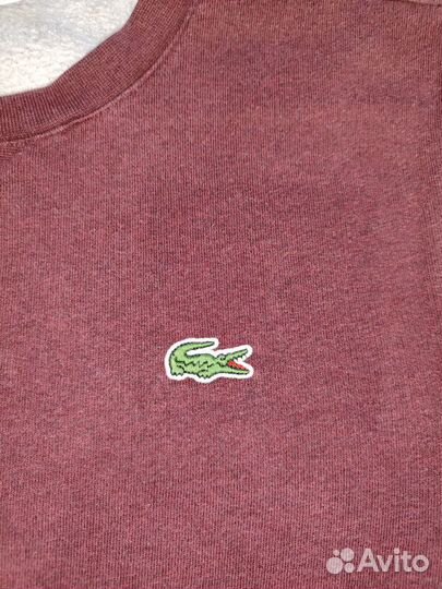 Свитшот Lacoste