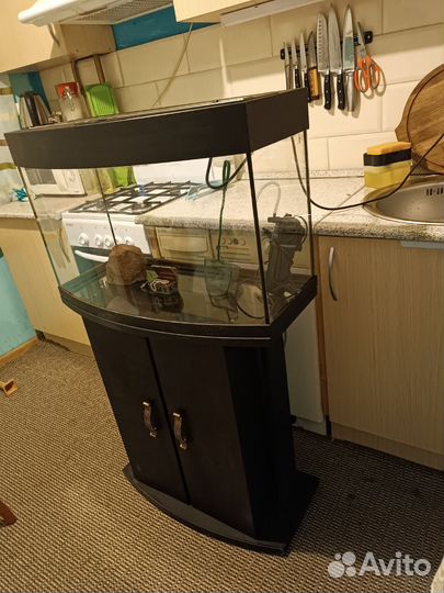 Панорамный аквариум с тумбой на 70 литров