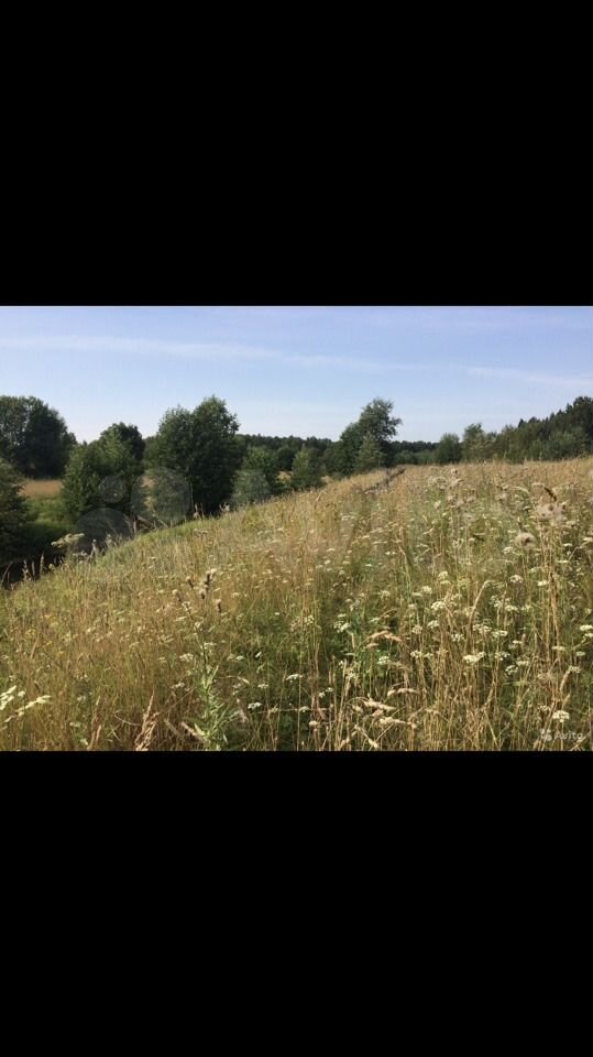 Участок 4 га (СНТ, ДНП)