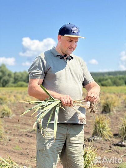 Инвестиции в сельское хозяйство