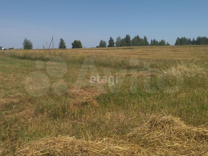 Участок 60 сот. (ИЖС)
