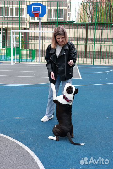 Кинолог зоопсихолог с выездом и онлайн