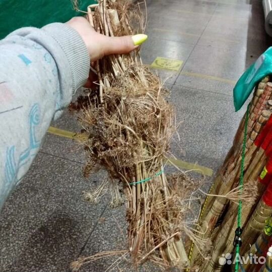 Пучки Укропа Зонтиком для раков