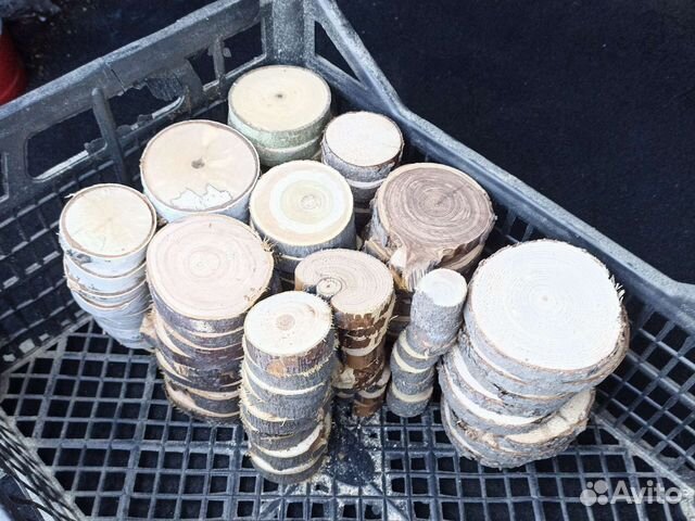 Спилы дерева