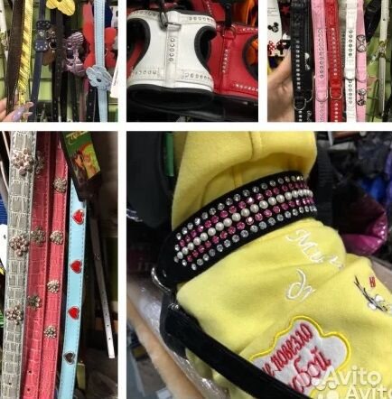 Одежда для собак и кошек