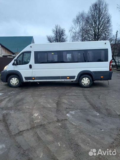 Пассажирские перевозки