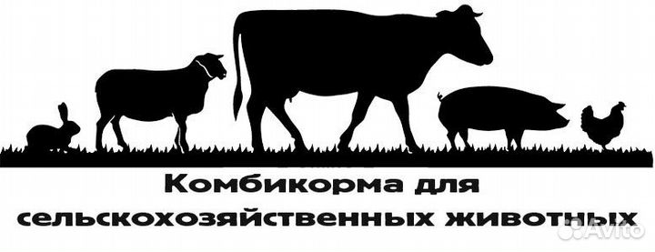 Индивидуальн или семейный бизнес по продаже кормов