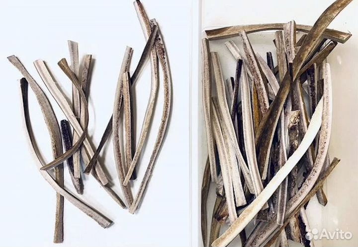 Лакомство для собак, рога, в ассортименте