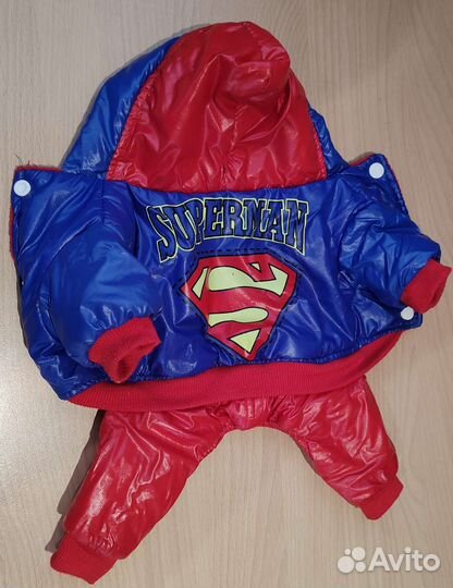 Одежда для маленьких собак