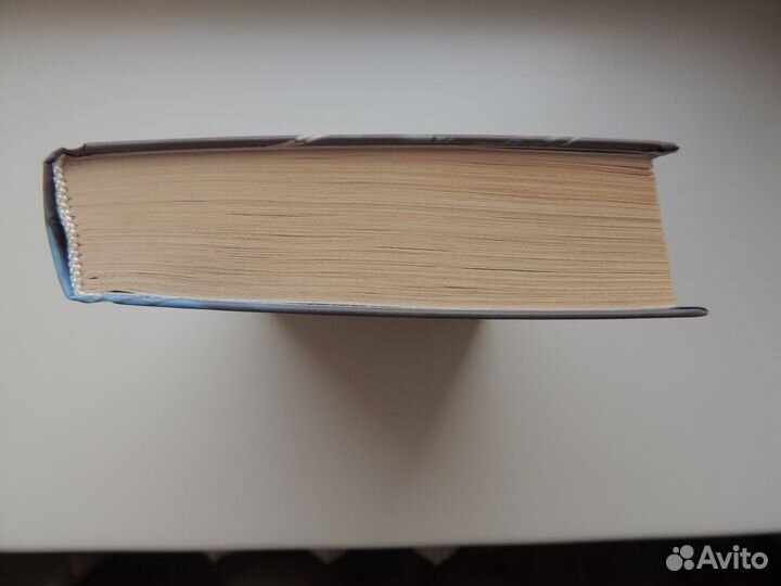 Книга «Размороженный» (автор Антон Текшин)