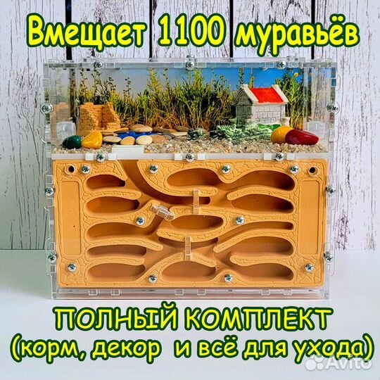 Муравьиная ферма (Новые)