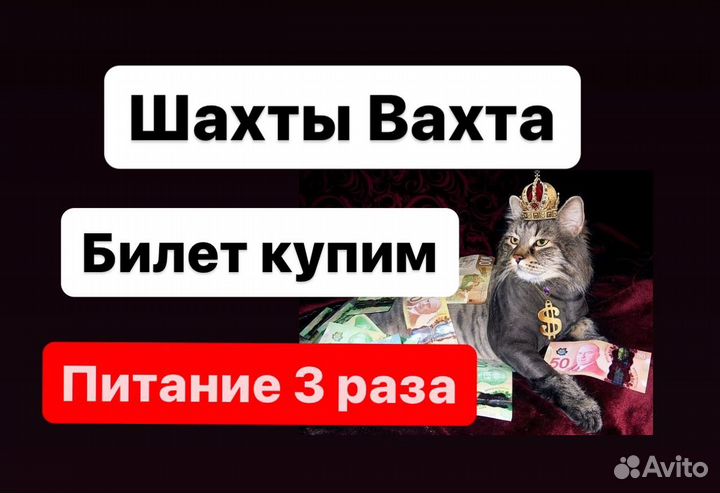 Сотрудники производства индейки. Вахта в Шахтах