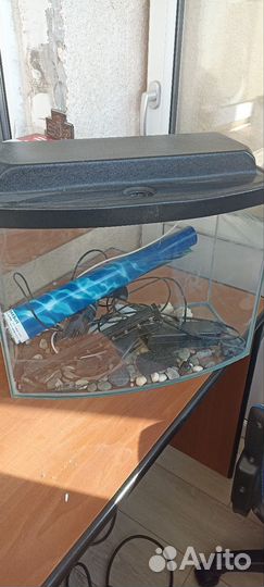 Аквариумные рыбки