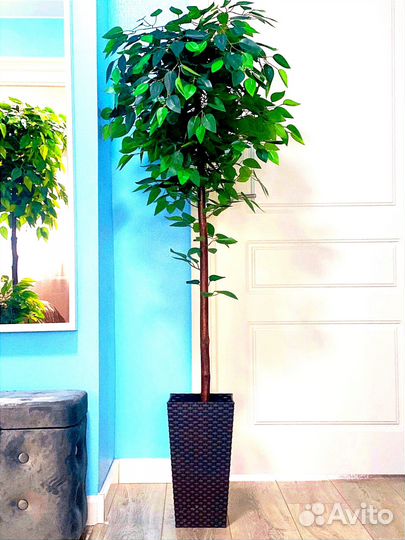 Искусственные растения цветы дерево фикус