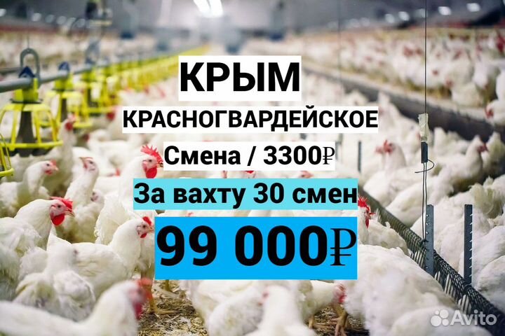 Упаковщик на линию / Красногвардейское / Вахта