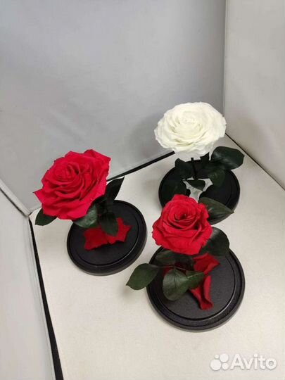 Роза в колбе оптом и в розницу