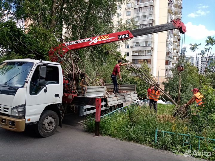 Услуги манипулятора