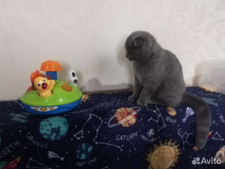 Интерактивная игрушка юла