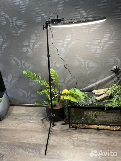 Кольцевая лампа 54 см со штативом