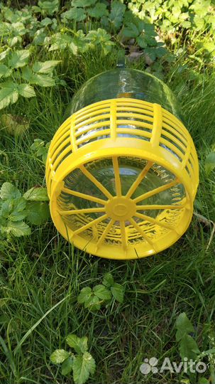 Бутыль стеклянная 5 литров