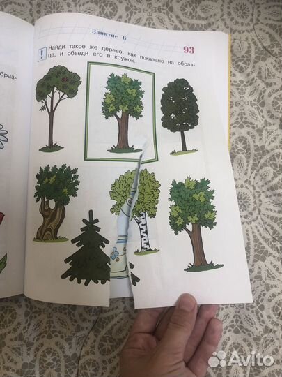 Годовой курс 2-3