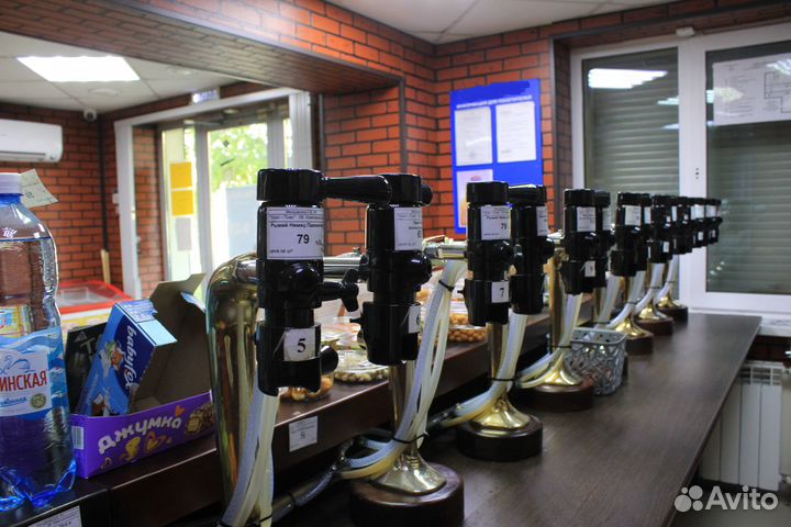 Пивной магазин как готовый бизнес с оборудованием