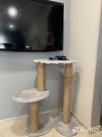 Когтеточка