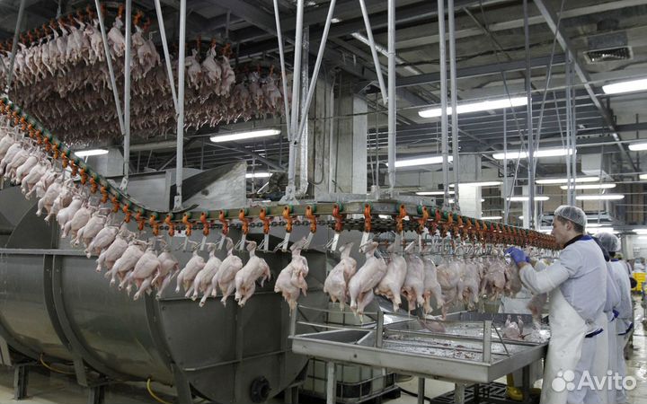 Оператор конвейерной линии 2500 за смену