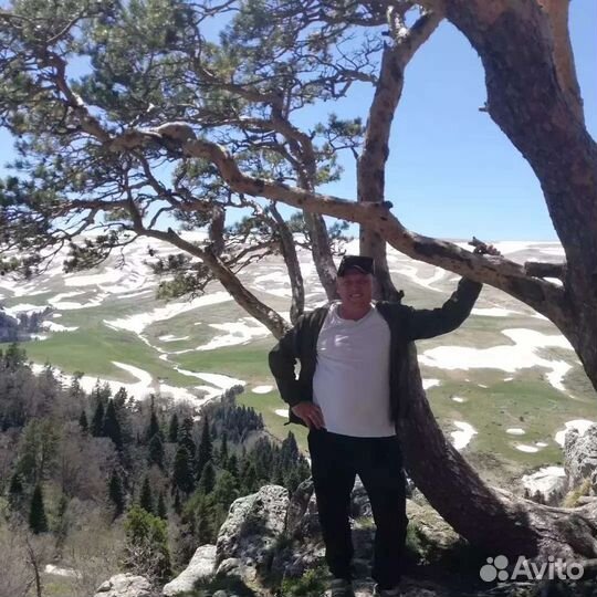 Экскурсии. Трансфер