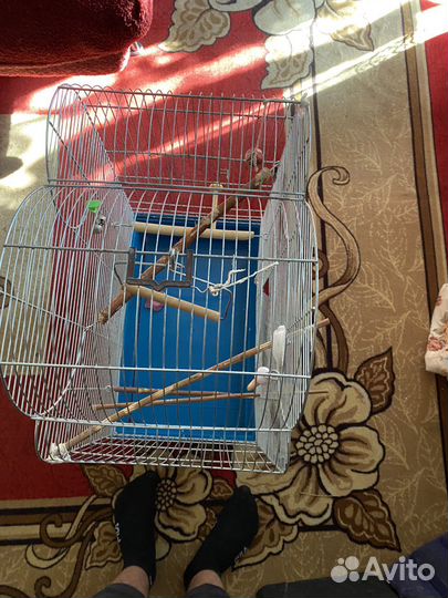 Клетки для попугаев
