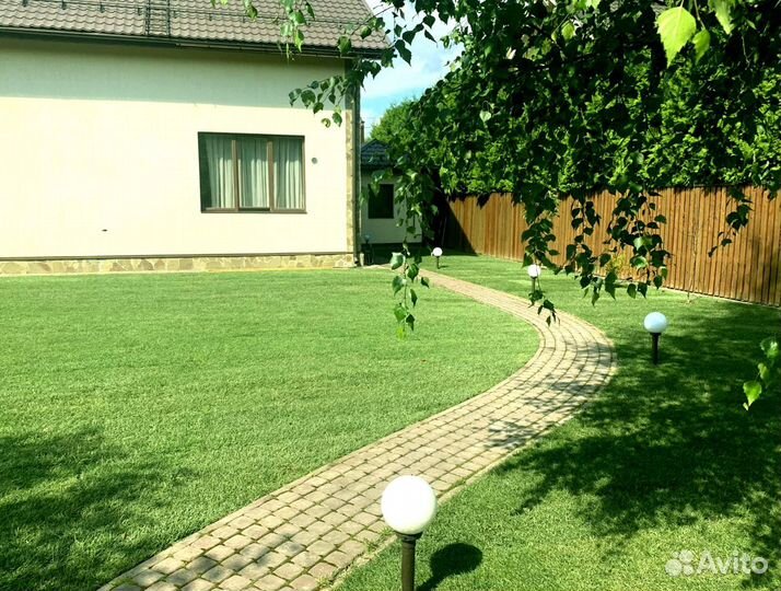 Рулонный газон