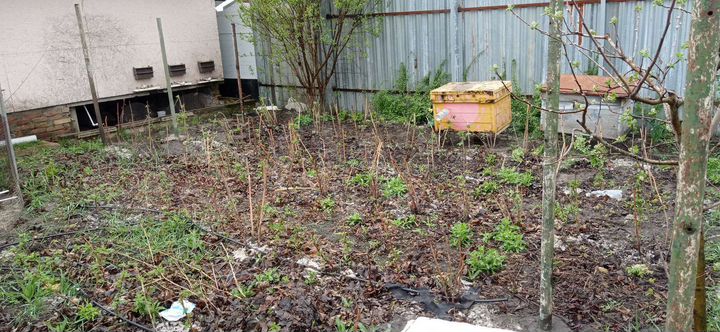 Дом 160 м² на участке 6 сот.