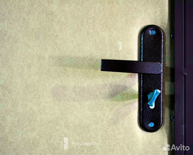 Дверь входная металлическая