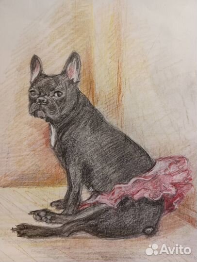 Рисунки по 500