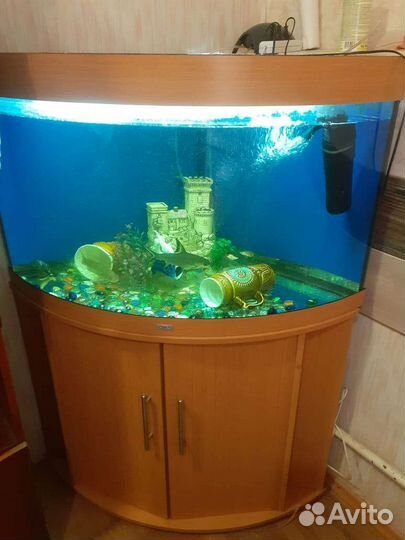 Аквариум juwel с тумбой угловой