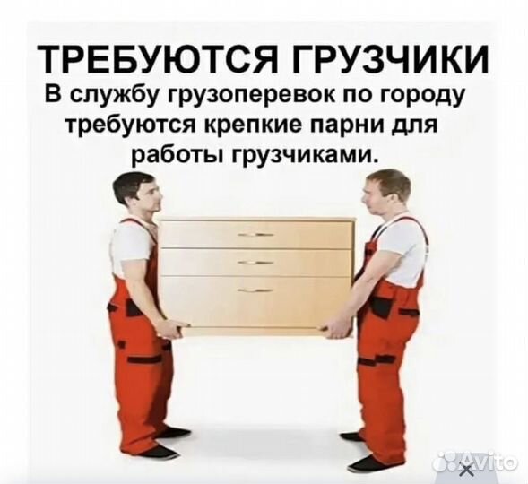 Работа грузчиком и разнорабочим ежедневные выплаты