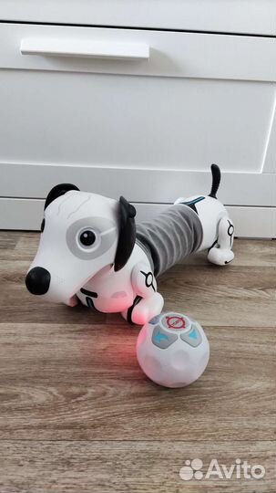 Собака робот такса Дэкел