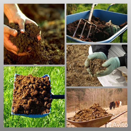 Конский навоз