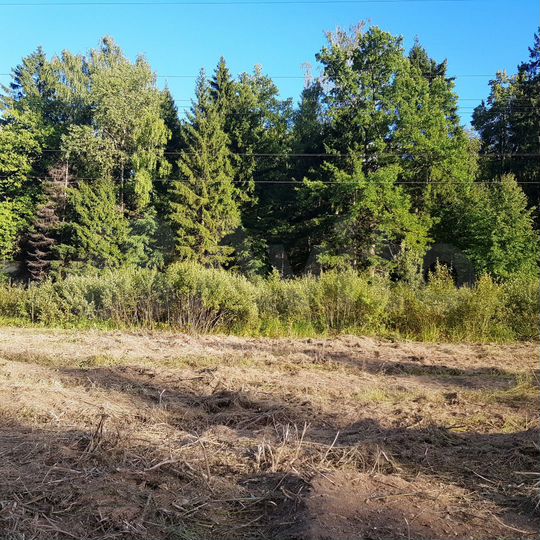 Участок 8 сот. (СНТ, ДНП)