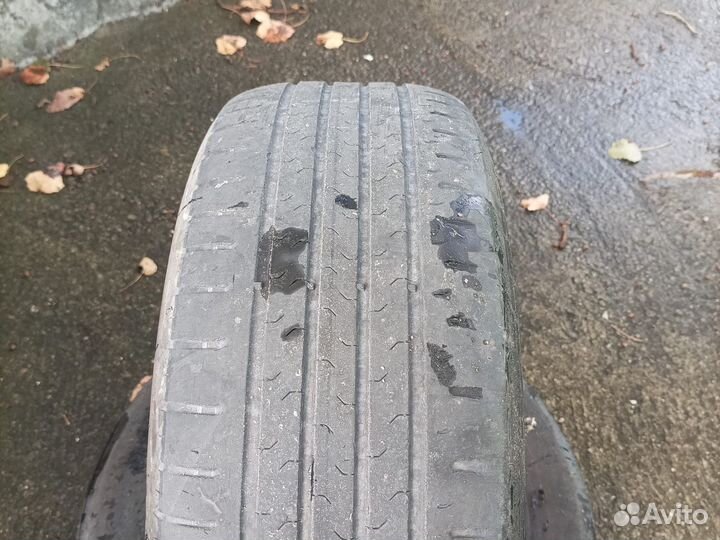 Continental ContiEcoContact 5 205/55 R16