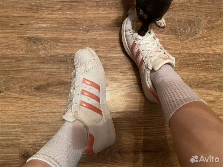 Adidas superstar оригинал 38