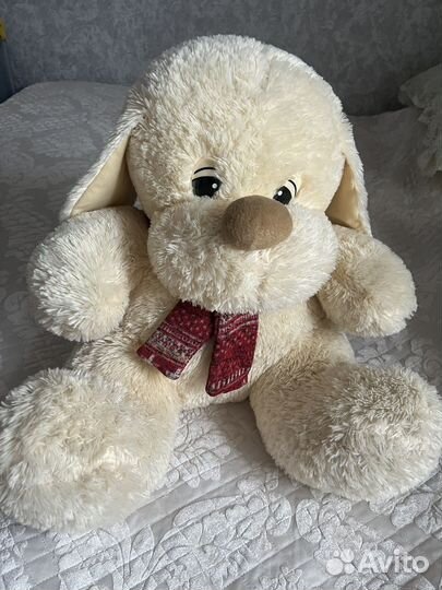 Собака мишка