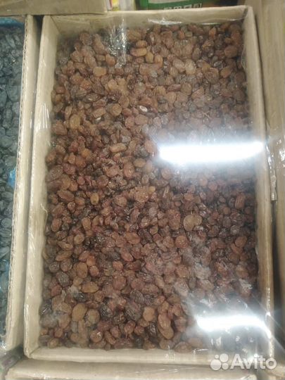 Изюм Малояр