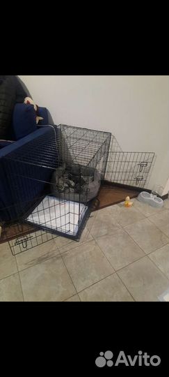 Клетка вольер для животных