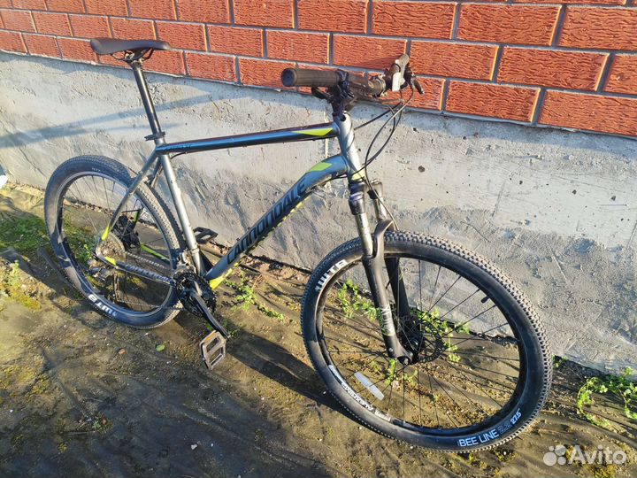 Cannondale catalyst 1