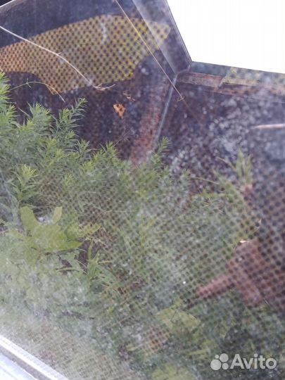 Стекла в заводской тонировки