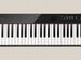 Casio privia PX s3100 новое Цифровое пианино