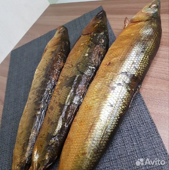 Коптильня холодного и горячего копчения+сушка/вял